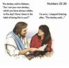 numbers-22-30-the-donkey-said-to-balaam-am-i-not-12841638.png