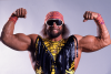 macho-man-champion-2017-05-11.png