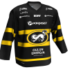 Kärpät-kelta2.png