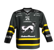 Kärpät-Kolmospaita-Harmaa.png