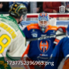 Screenshot 2025-01-24 at 23-01-30 Pe 24.1.2025 Tappara - Ilves Sivu 2 Jatkoajan keskustelupalsta.png